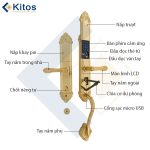 Khóa điện tử tân cổ điển Kitos KT-C800 mạ vàng 24k